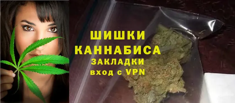 что такое   Бийск  Шишки марихуана Amnesia 